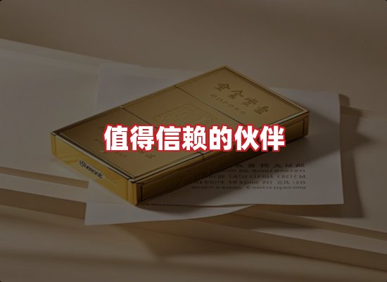 专业团队